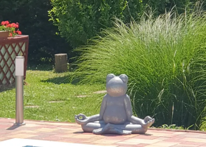 Fonix Ueduelohaz * Замарди